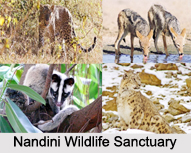 Wildlife Sanctuaries in Jammu and Kashmir