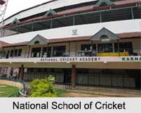 Indian Cricket Clubs, Indian Cricket