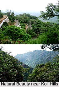 Kolli Hills, Tamil Nadu