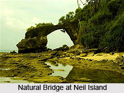 Neil Island, Andaman and Nicobar Islands