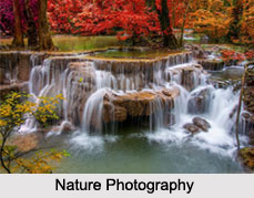 Nature Photography in India, Indian Photography