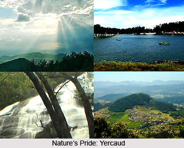 Places to see in Yercaud, Tamil Nadu