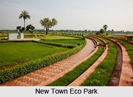 E.M. Bypass, Kolkata, West Bengal