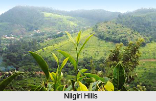 Mallapuram District , Kerala