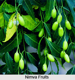 Medicines in Agni Purana