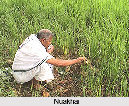 Festivals of Kalahandi, Odisha
