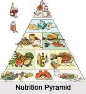Diet Therapy, Naturopathy