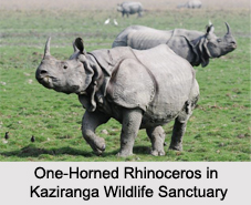 Assam Eco Parks