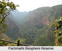 Forests and sanctuaries along Narmada, Indian River