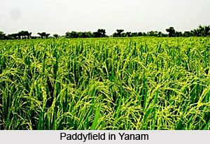 Yanam District, Puducherry