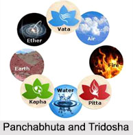 Doshas in Ayurveda, Concepts of Ayurveda