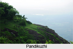 Thekkady , Idukki