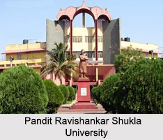 Universities of Chhattisgarh, Indian Universities
