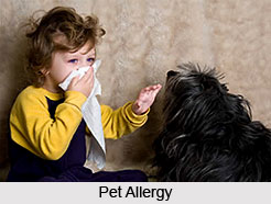 Contact allergy