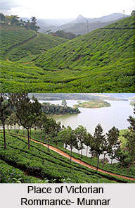 Munnar, Kerala
