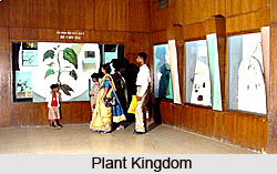 National Museum of Natural History, Delhi