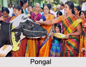 Festivals of Tamil Nadu