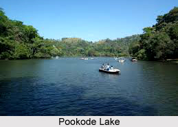 Geography of Wayanad District, Kerala