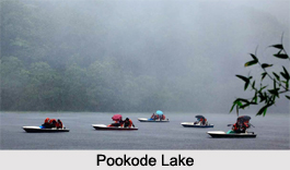 Wayanad district ,  Kerala