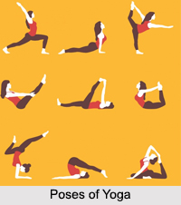 Yoga And Human Body