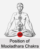 Mooladhara Chakra, Kundalini Chakra