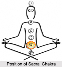 Sacral Chakra, Kundalini Chakras
