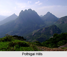 Tirunelveli District