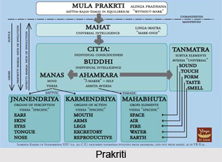 Visesa avisesa lihgamdtra alihgani gunaparvani, Patanjali Yoga Sutra