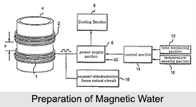 Magnetized Water, Magnetic Therapy