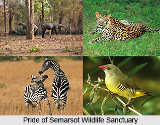 Tourism in Surguja District