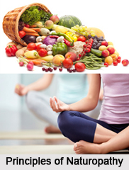 Indian Naturopathy
