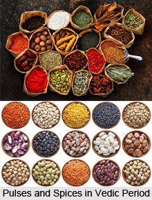 Food in Vedic Period, Food in Ancient India