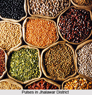 Economy of Jhalawar District, Rajasthan