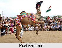 Pushkar Lake, Ajmer District, Rajasthan