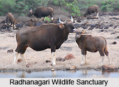 Tourism in Kolhapur District, Maharashtra
