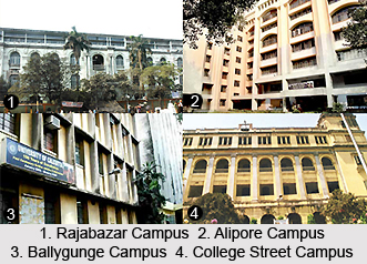 University of Calcutta
