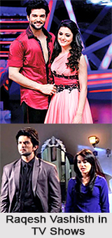 Raqesh Vashisth, Indian TV Actor