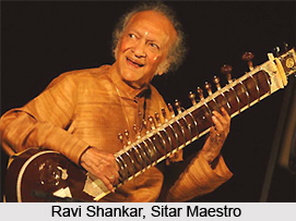 Indian Classical Instrumentalists