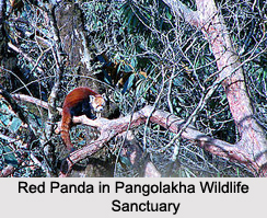 Wildlife Sanctuaries of Sikkim