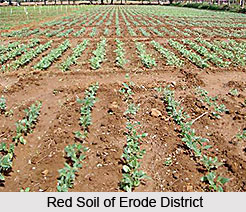 Geography of Erode District, Tamil Nadu