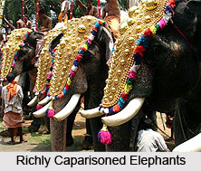 Thrissur Pooram