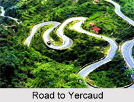 Yercaud Hill station, Tamil Nadu, South India