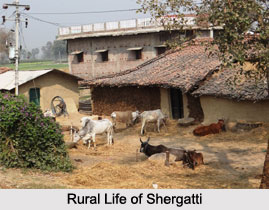 Sherghati, Gaya District, Bihar