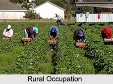 Rural Population in India