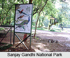 Sanjay Gandhi National Park