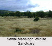 Wildlife Sanctuaries of Rajasthan