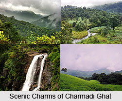 Charmadi Ghat, Dakshina Kannada District, Karnataka