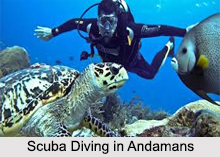 Scuba Diving and Snorkelling in India