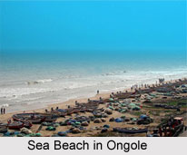 Ongole, Prakasam district, Andhra Pradesh