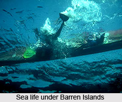 Barren Islands, Indian Islands